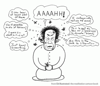 meditating-while-being-eaten-by-mosquitos